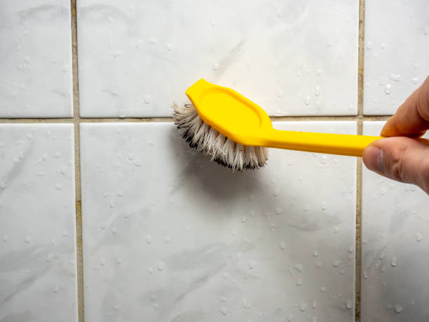 Best Black Mold Removal  in Vineyard, CA