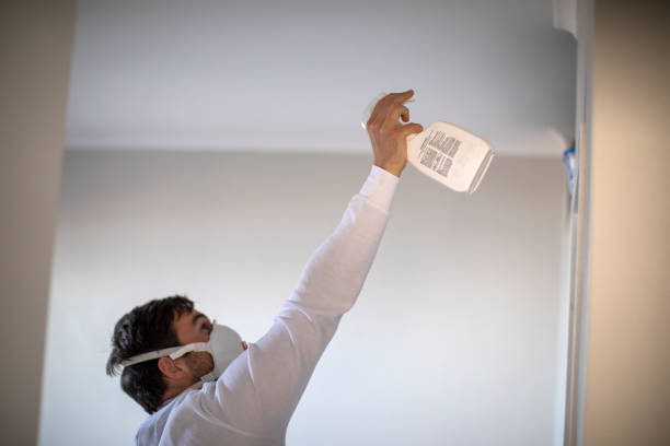 Best Professional Mold Removal  in Vineyard, CA