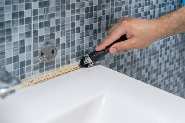 Mold Removal and Inspection in Vineyard, CA