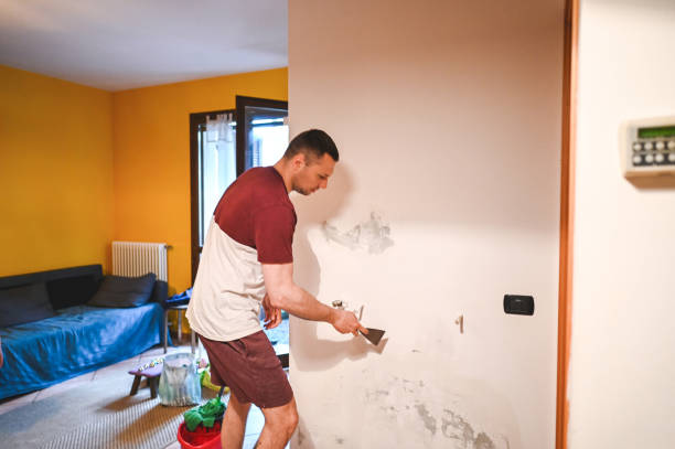 Best Best Mold Removal Companies  in Vineyard, CA